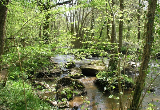 Les Gorges de la Rouvre