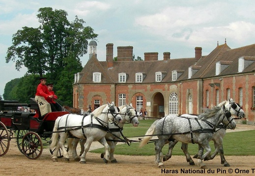 Haras national du Pin