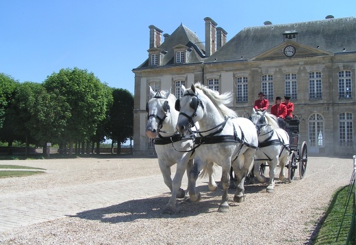 Haras national du Pin