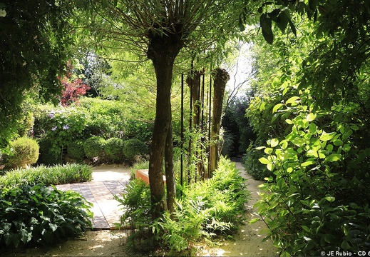 Jardin Intérieur à ciel ouvert à Athis de l'Orne