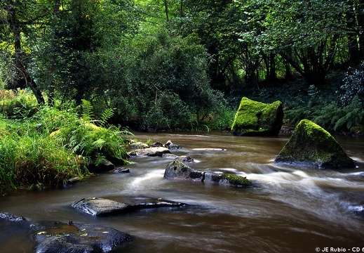 Les Gorges de la Rouvre