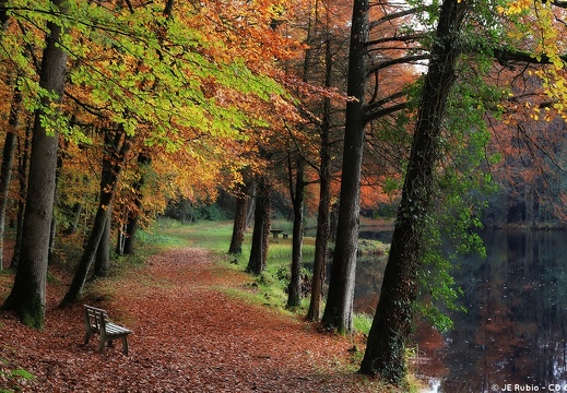 Etang de la Herse