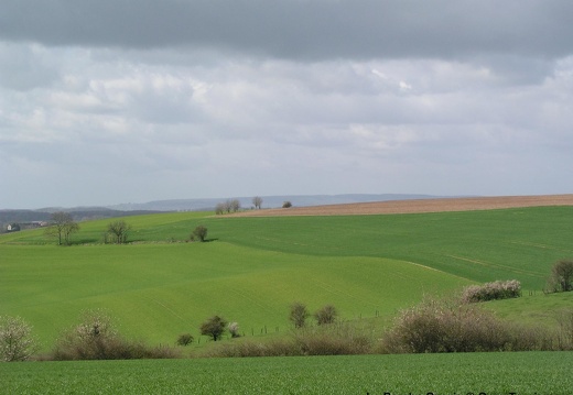 Le Perche Ornais