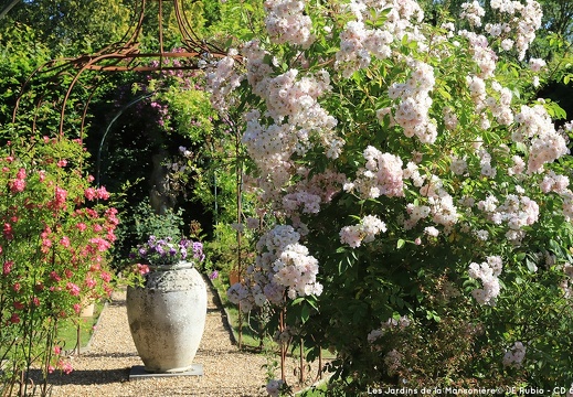 Les jardins de la Mansonière à Saint Céneri le Gérei