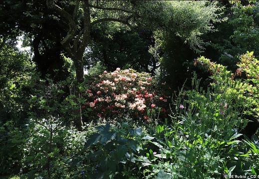 Jardin La petite Rochelle à Rémalard